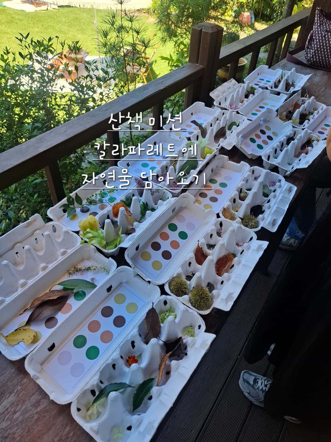 feed image 2