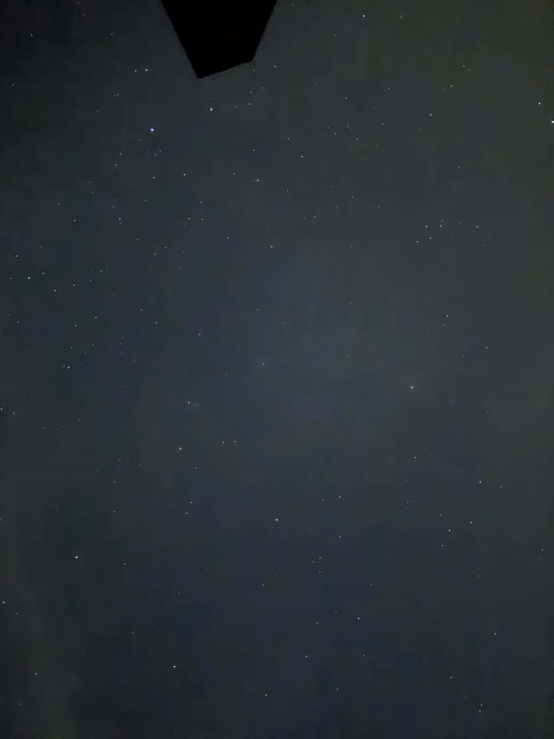feed image 4