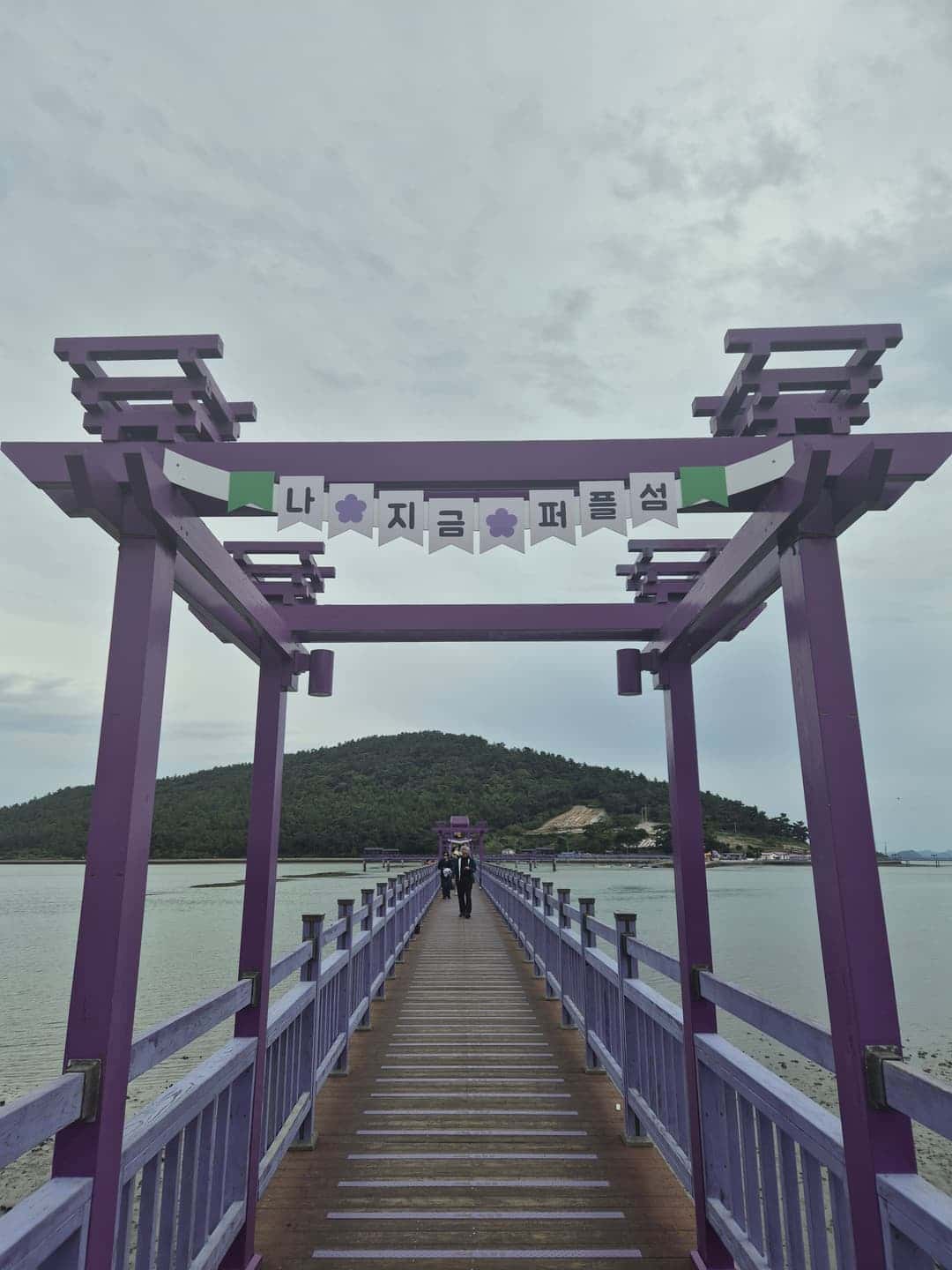 feed image 4