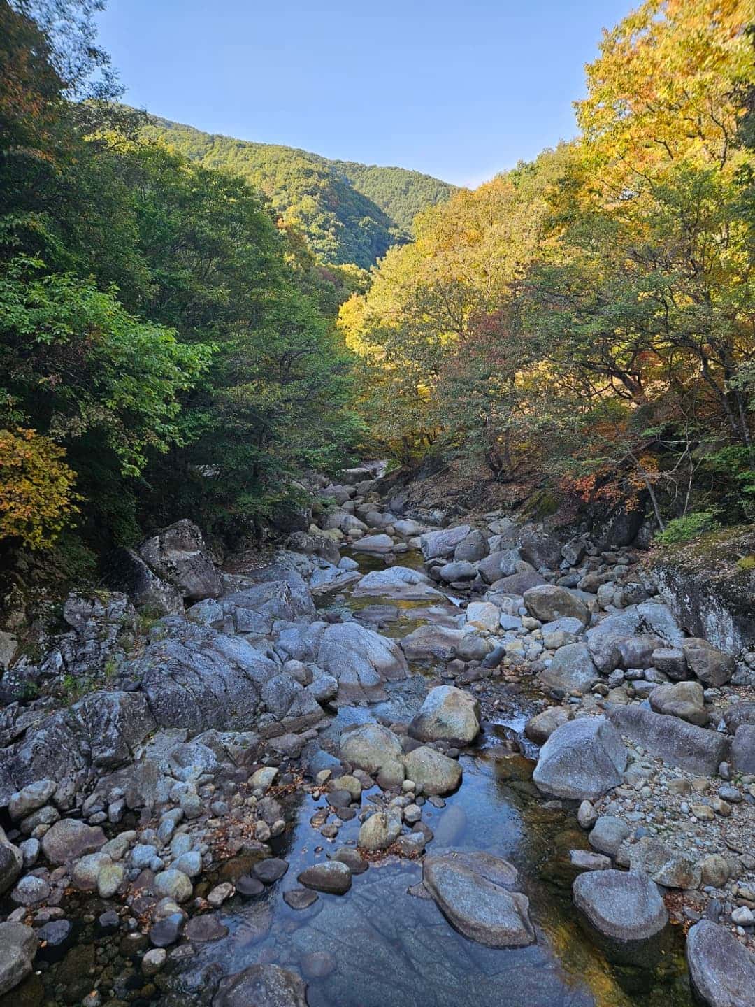 feed image
