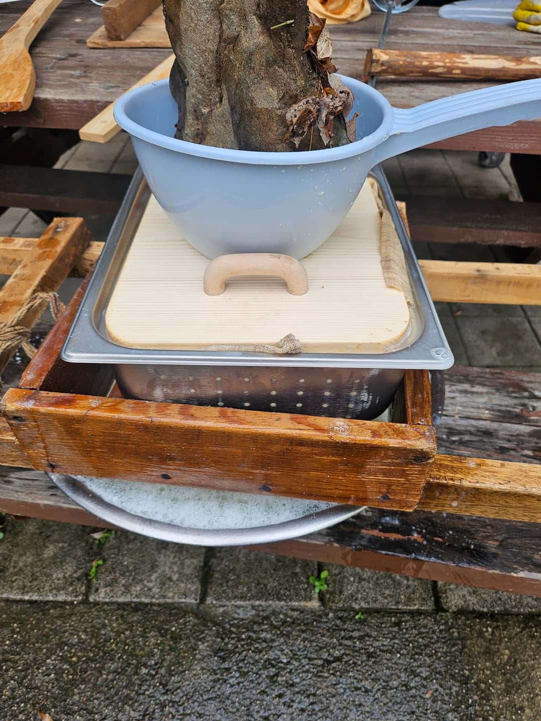 feed image 4