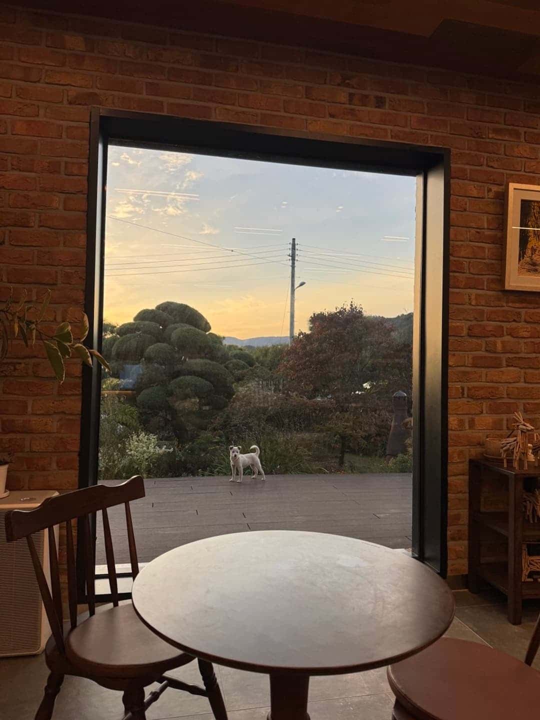 feed image