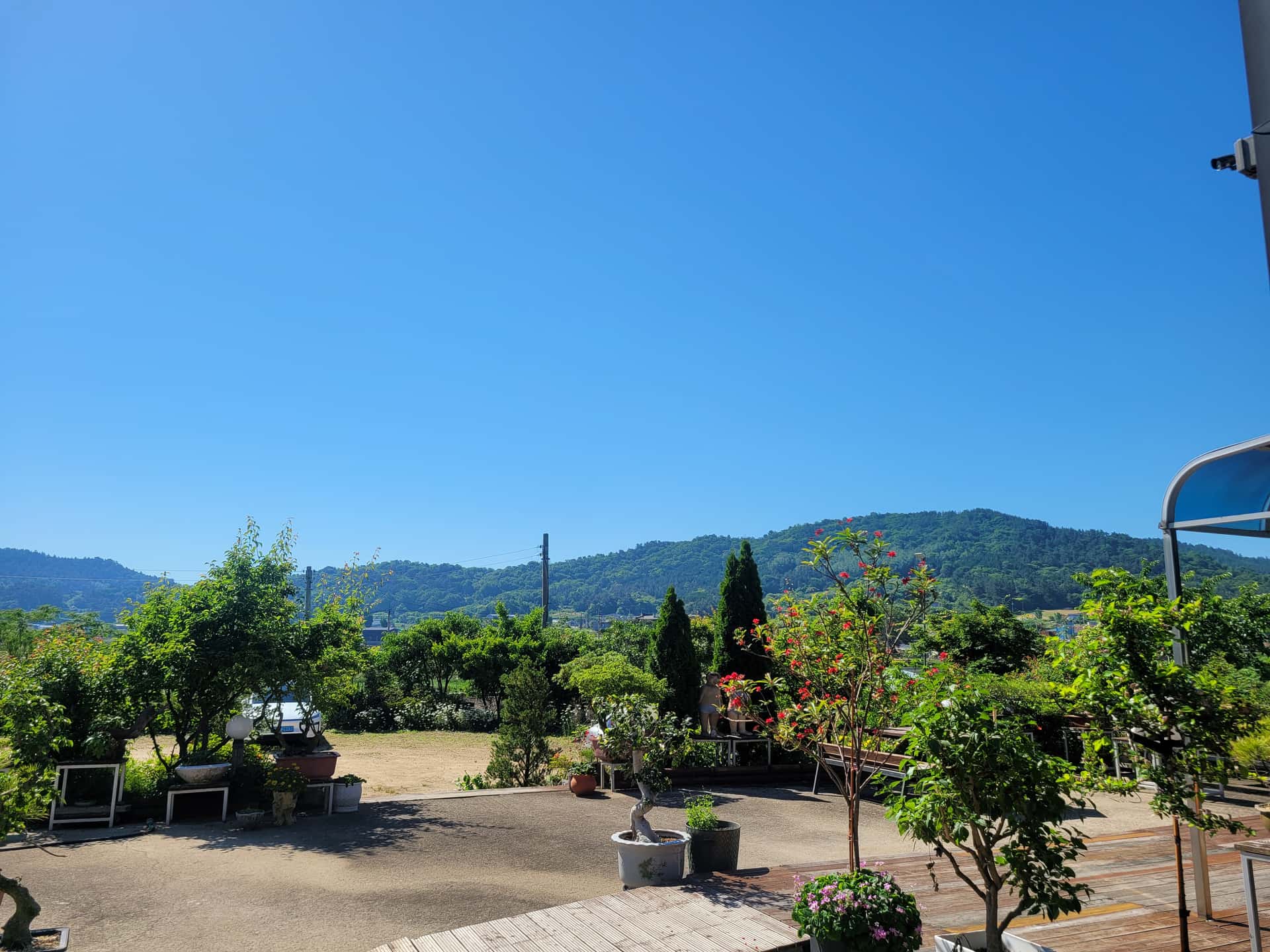 feed image 1