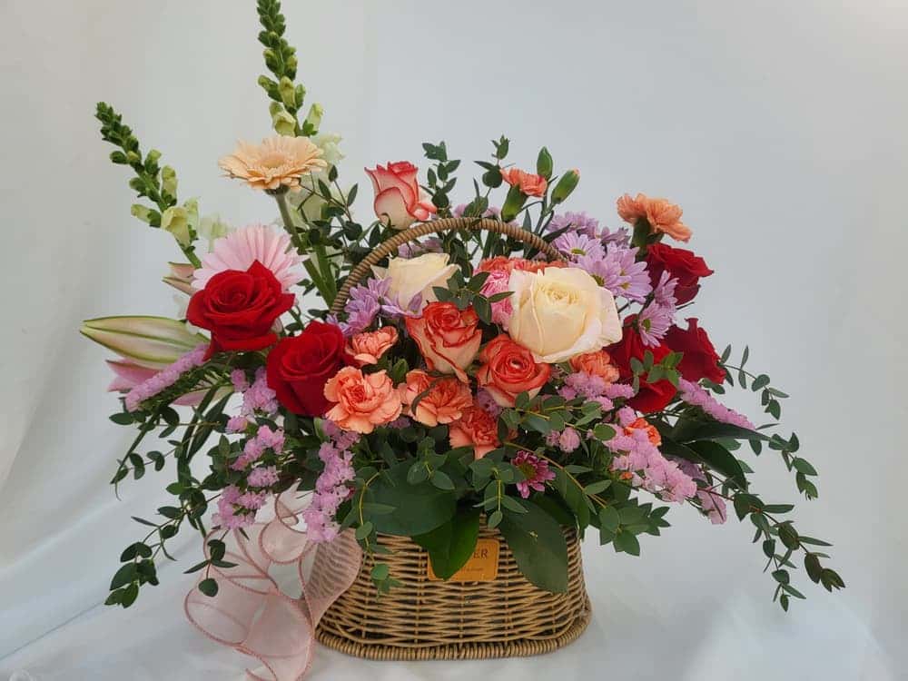 feed image 1