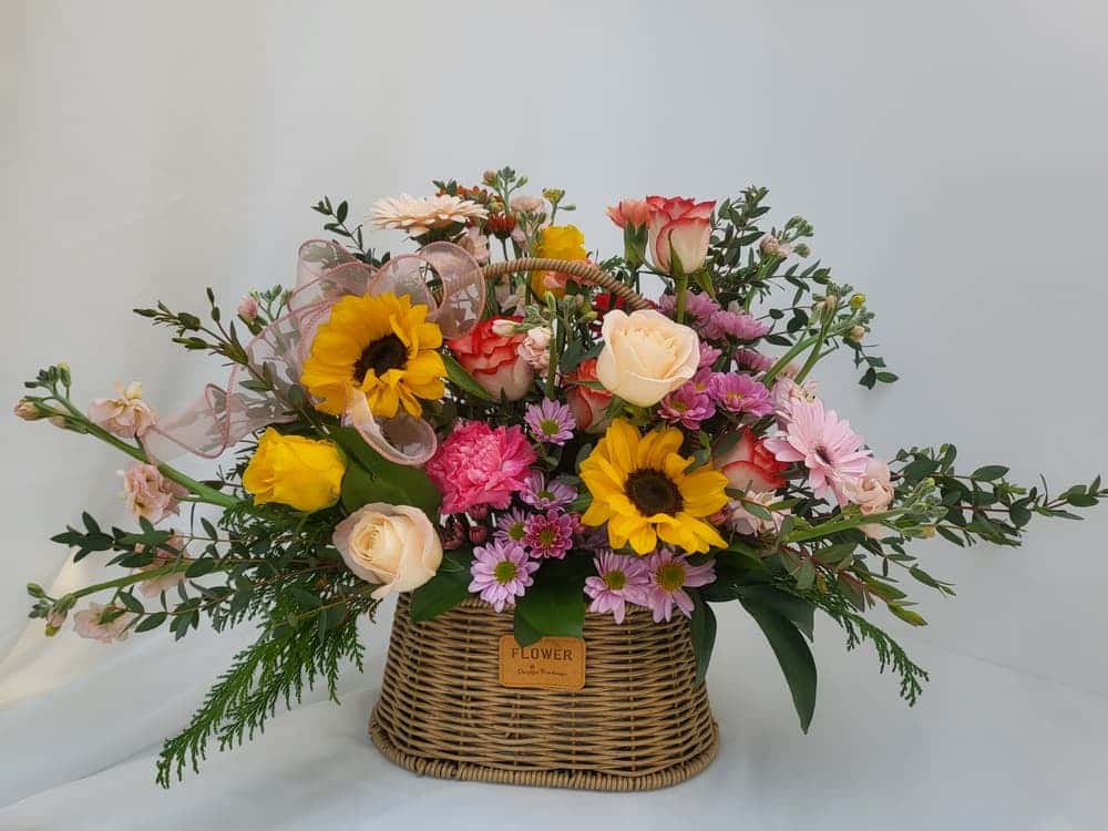 feed image 2