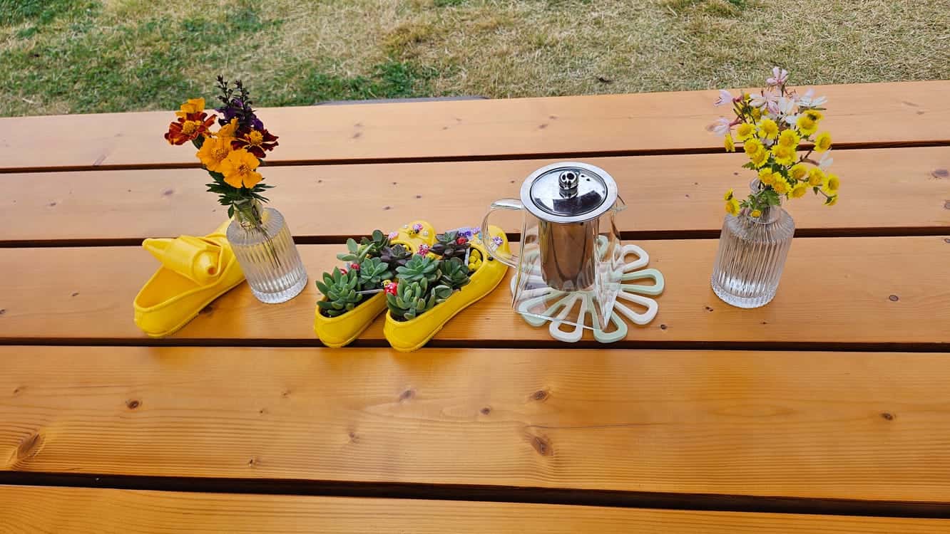 feed image 2