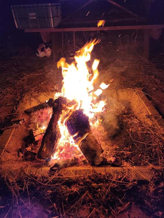 feed image 3