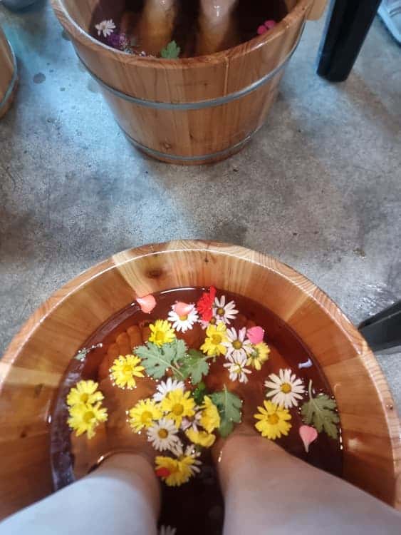 feed image 4