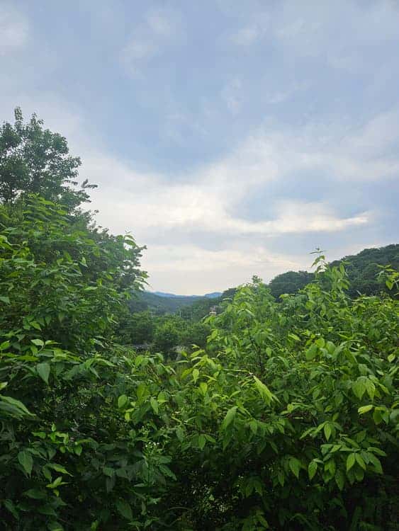 feed image 4