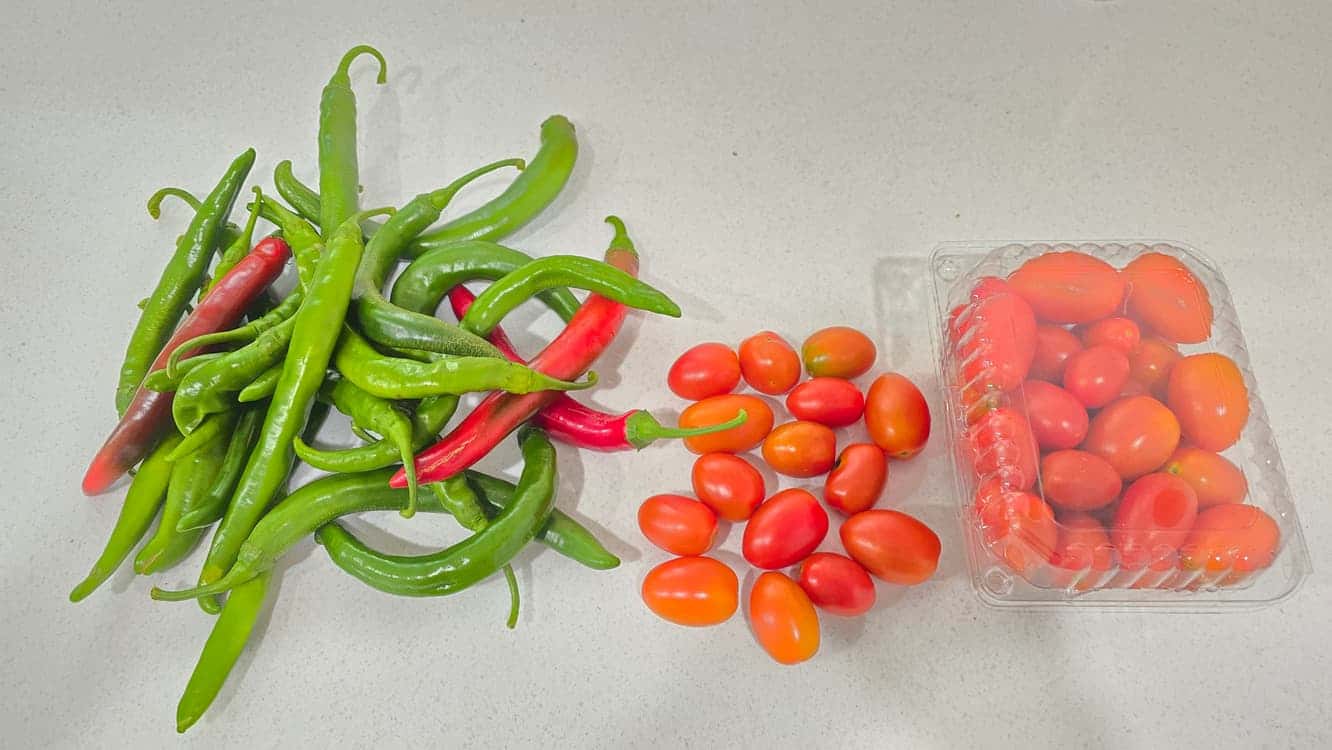 feed image 2