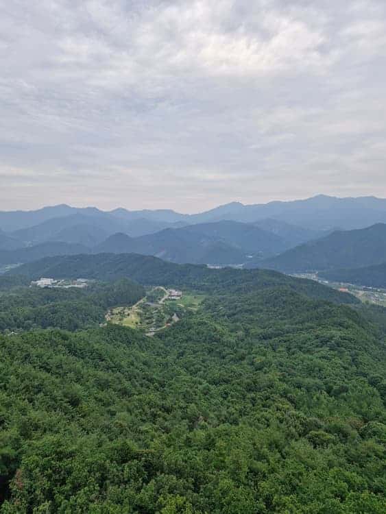 feed image
