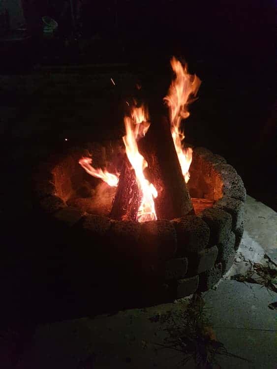 feed image