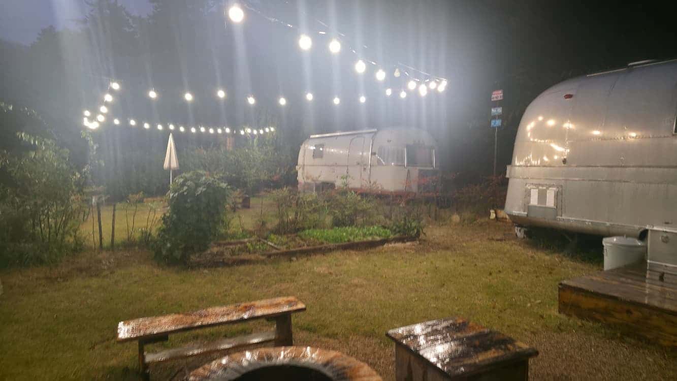 feed image 3
