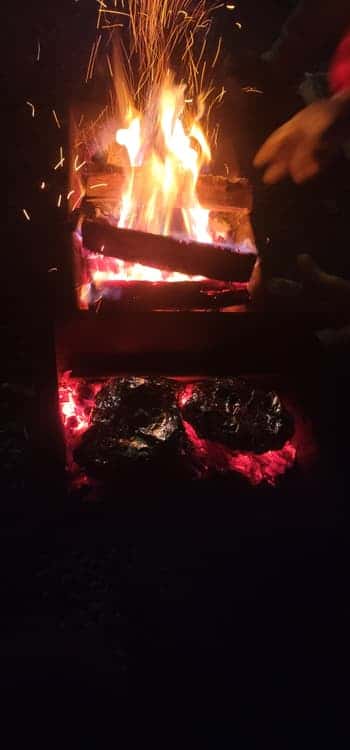 feed image 1