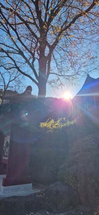 feed image 1