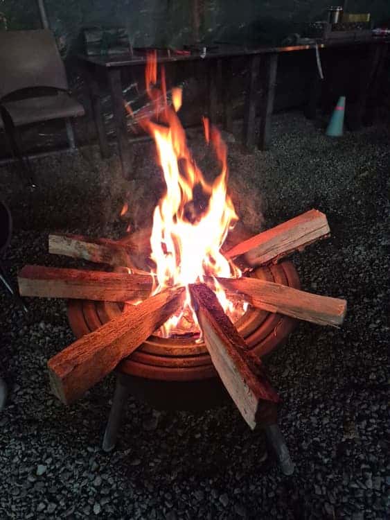 feed image 1