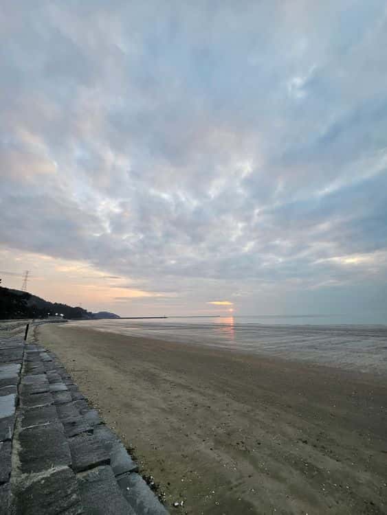 feed image 3
