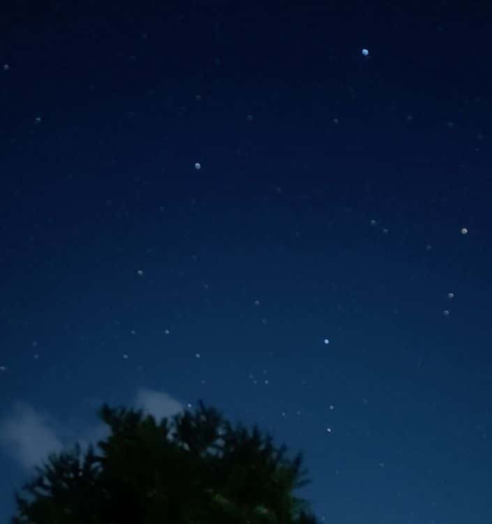 feed image 2