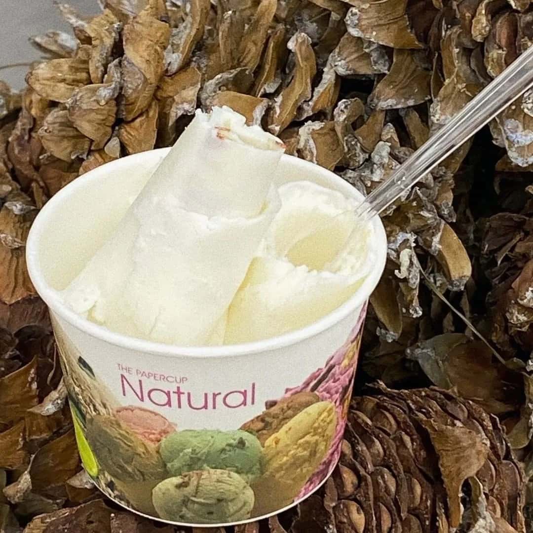 [가평] 아침고요푸른마을 잣마들렌 & 잣아이스크림 만들기 사진 3