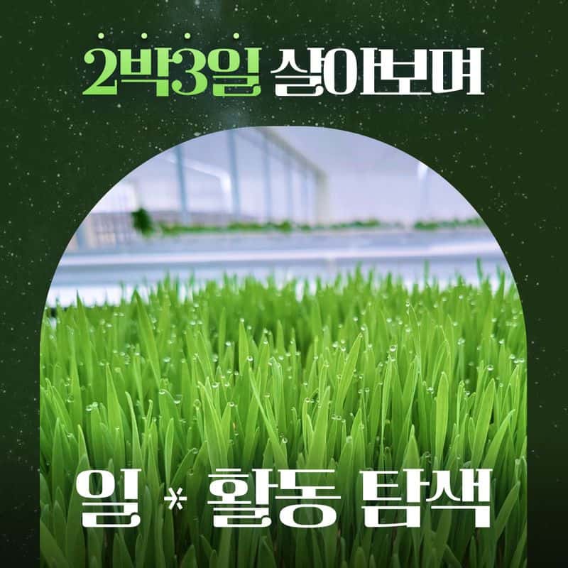 [익산] '5도(都)2촌(村)' 스마트팜 탐색과정  사진 3