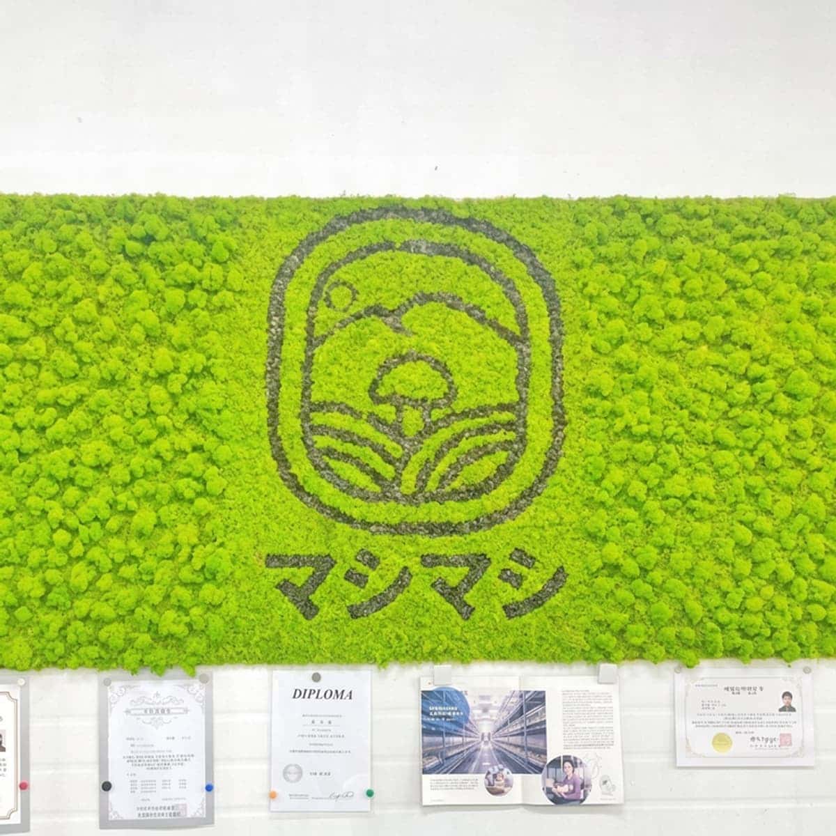 [当日/羅州] 旬の農産物収穫体験+クッキングクラスの写真1