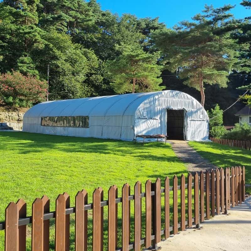 [고창/1박]반려견동반 자연속 힐링 +수제건강간식 체험 사진 3
