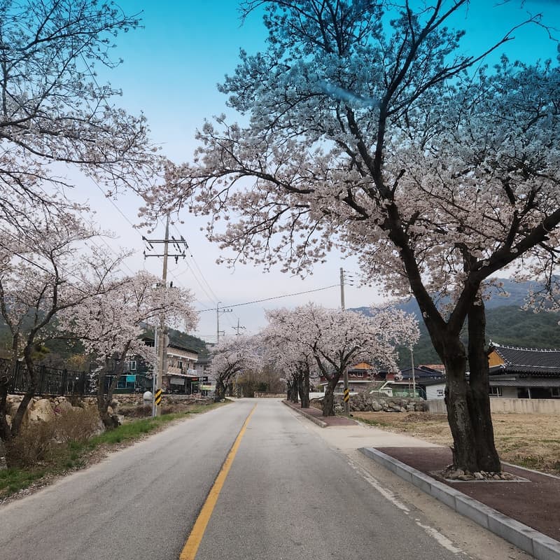 [남원/당일] 족욕부터 수액까지, 지리산 수세미 체험 사진 4