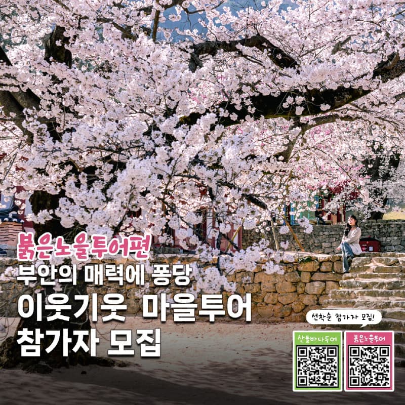 [부안/당일] 토마토농장+슬지제빵소+내소사+곰소항 사진 1