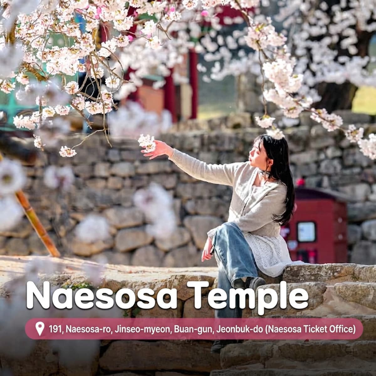 [Buan/Day Trip] Tomato Farm + Seulji Bakery + Naesosa Temple + Gomso Port photo 2