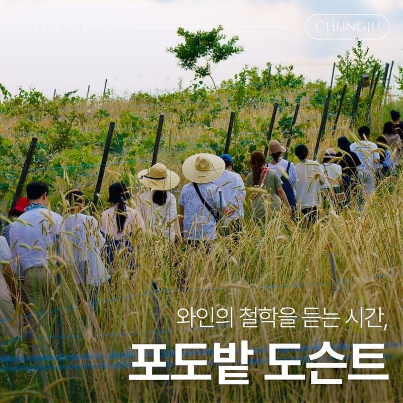 [충주/1박] 와인과 온천으로 채우는, 내츄럴 와인투어 사진 3