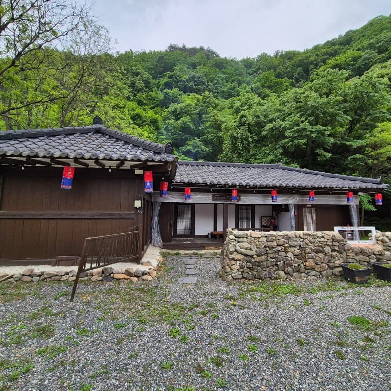 [횡성] 숲속 미식 여행 + 숲슐랭 트래킹 사진 5