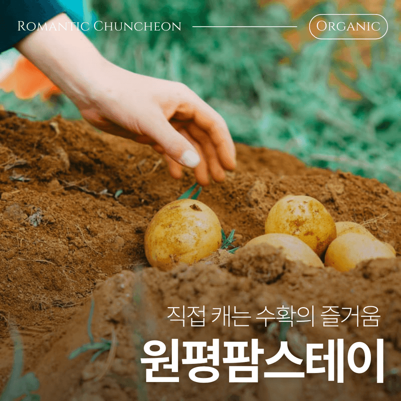 [춘천] 한국의 스위스에서, 도심 탈출 초록 여행 🌳 사진 3