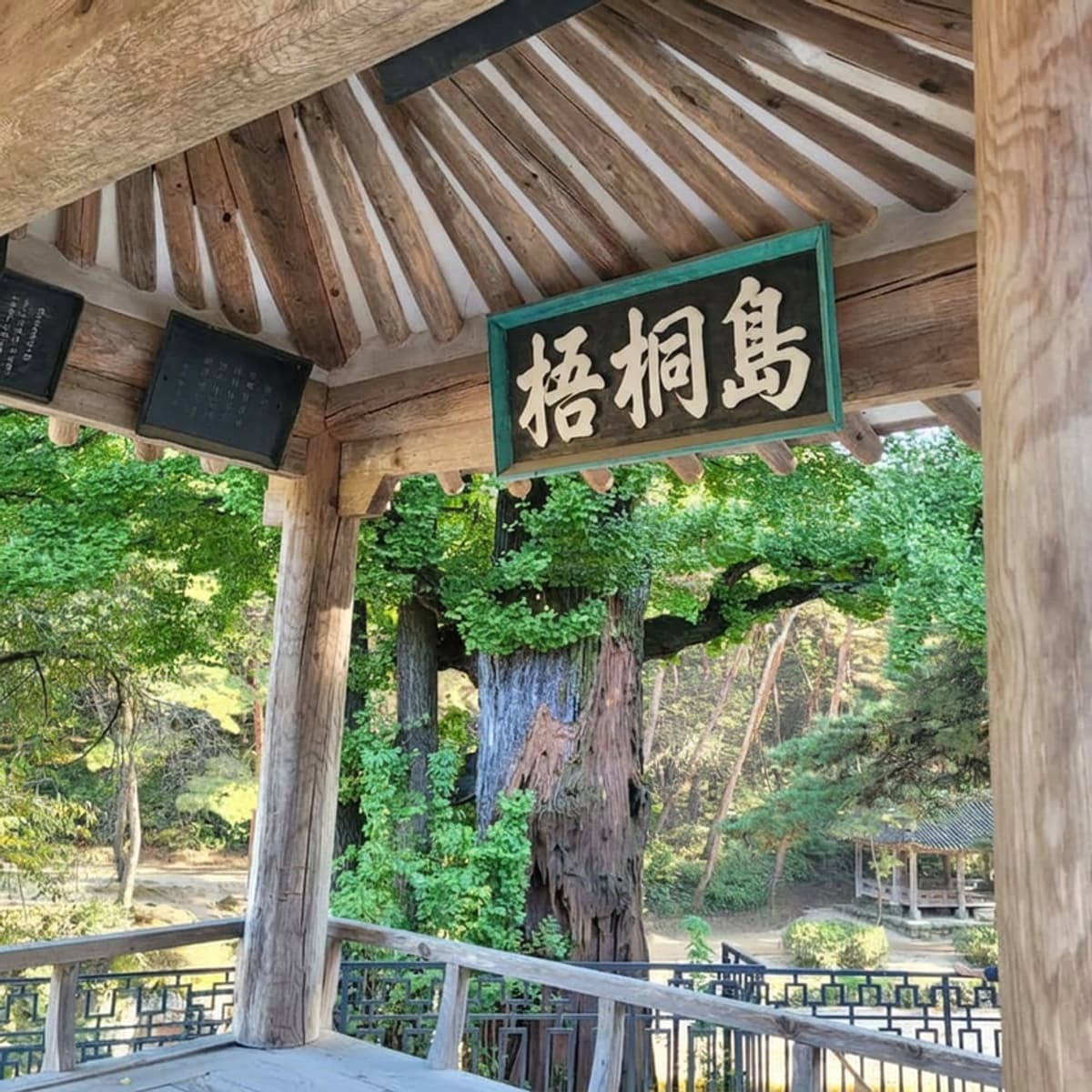 [日帰り/歴史旅行] ソンビの郷・栄州の写真2