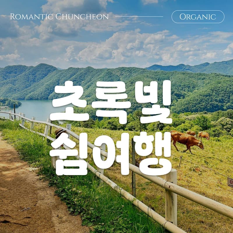 [춘천] 한국의 스위스에서, 도심 탈출 초록 여행 🌳 사진 1