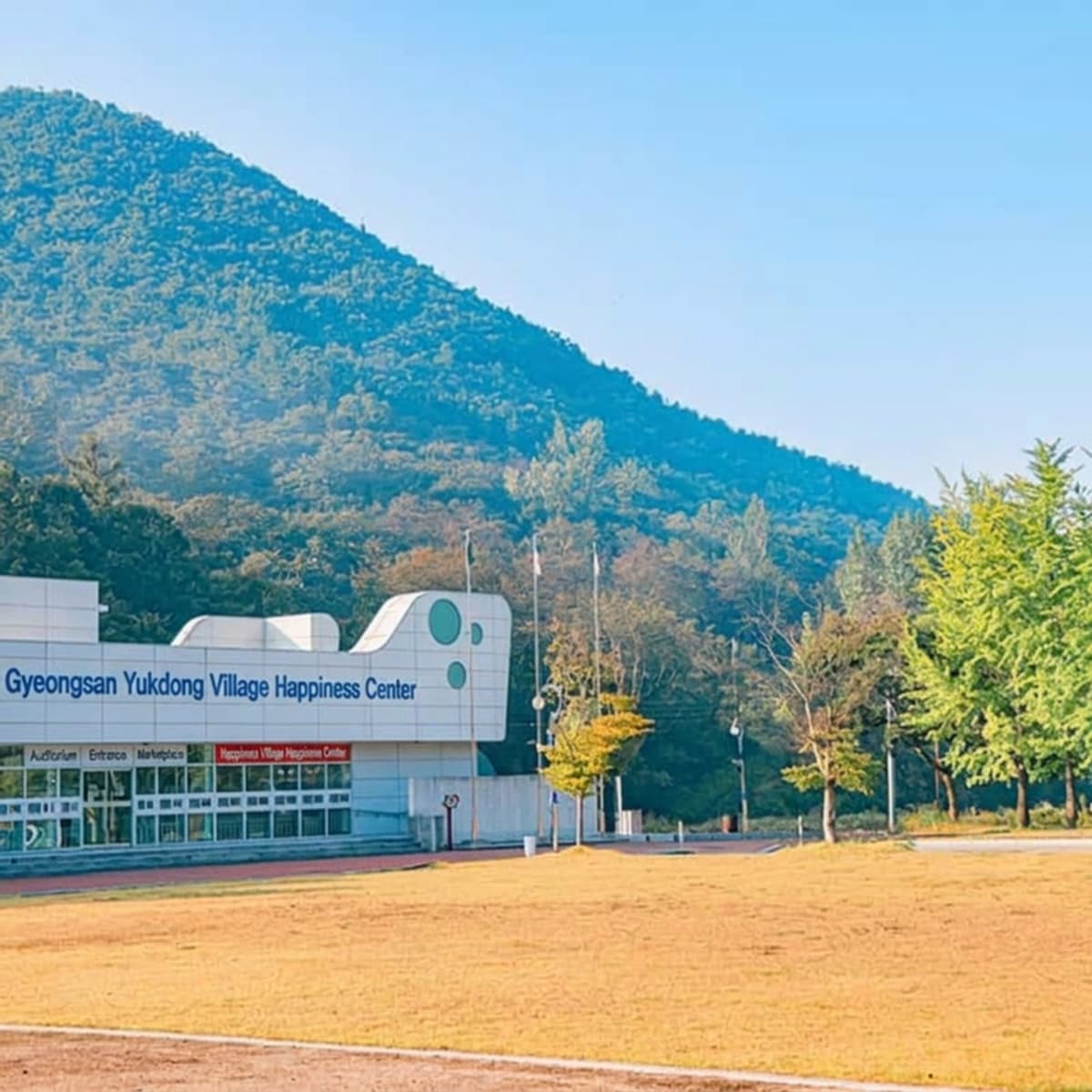 [Gyeongsan] Exceptionally Fragrant Yukdong Minari, Pork Belly, and Foot Bath Healing photo 2