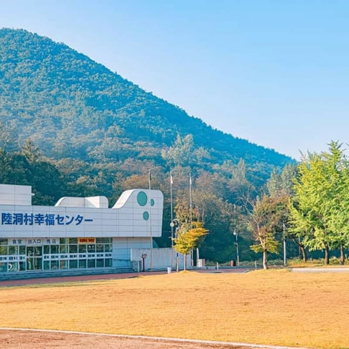 [慶山] 香り際立つユクトンセリのサムギョプサルと足湯ヒーリングの写真2