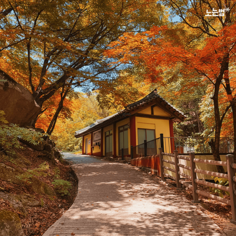 [춘천] 단풍 물든 소양강 따라 - 청량 가을 여행🍁 사진 5