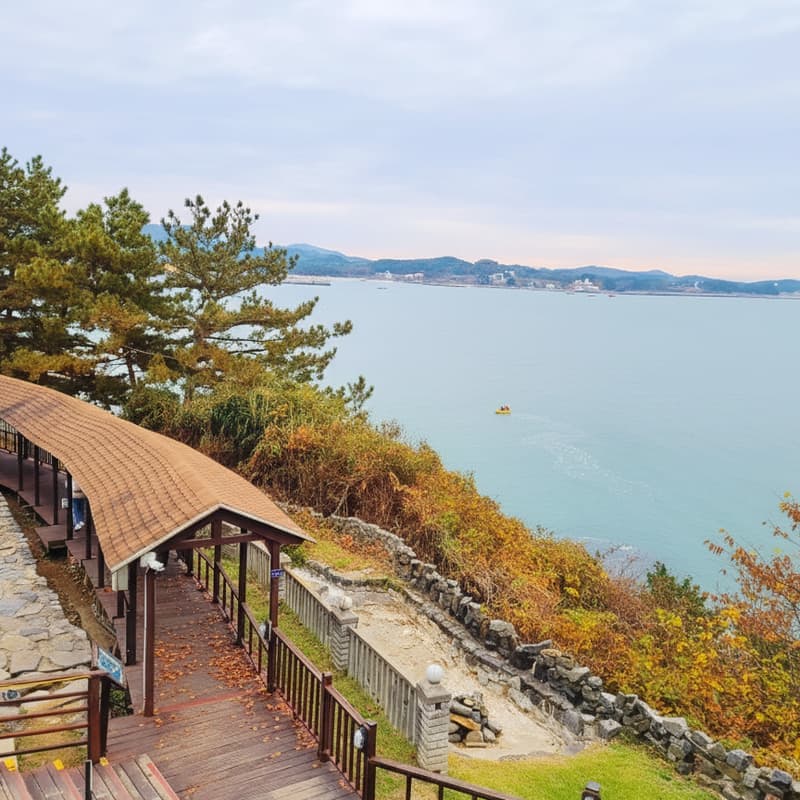 [보령/당일] 죽도 상화원+성주산 자연휴양림+개화예술공원 사진 2