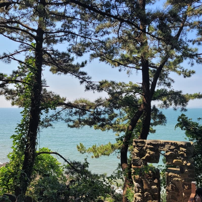 [보령/당일] 죽도 상화원+성주산 자연휴양림+개화예술공원 사진 3