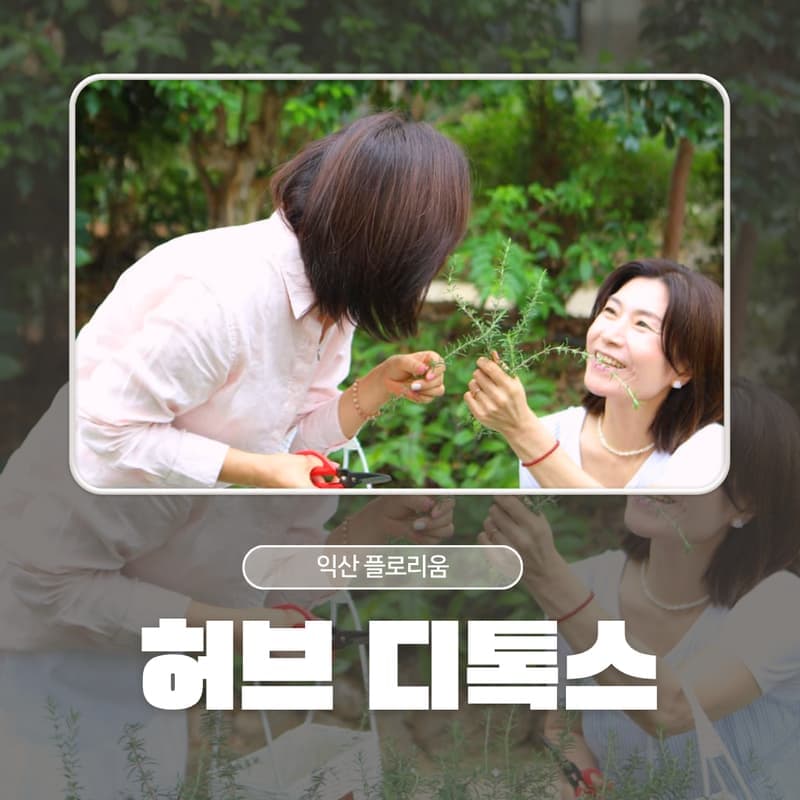 [익산/당일] 플로리움 허브디톡스 테라피 - 식물원 카페 체험 🫖🍃 사진 1