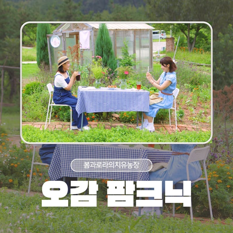 [익산/당일] 봄과로라 치유농장 - 오감 팜크닉 🧺🌿 사진 1