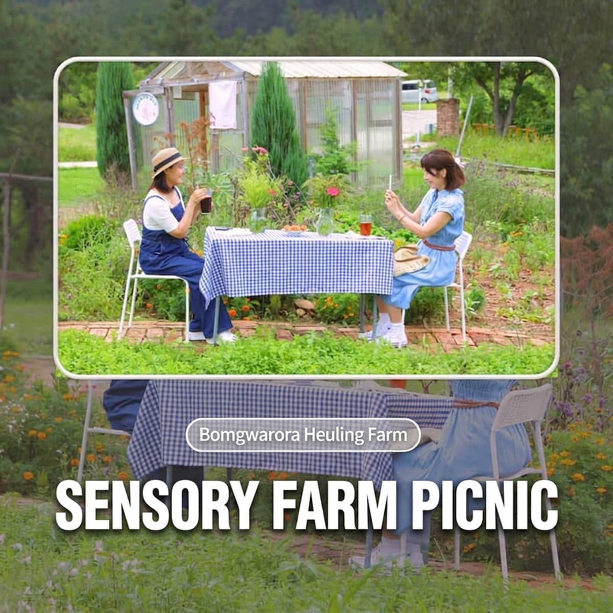 [Iksan/Same-day] Bomgwarora Healing Farm - Five Senses Farmnic 🧺🌿 photo 1