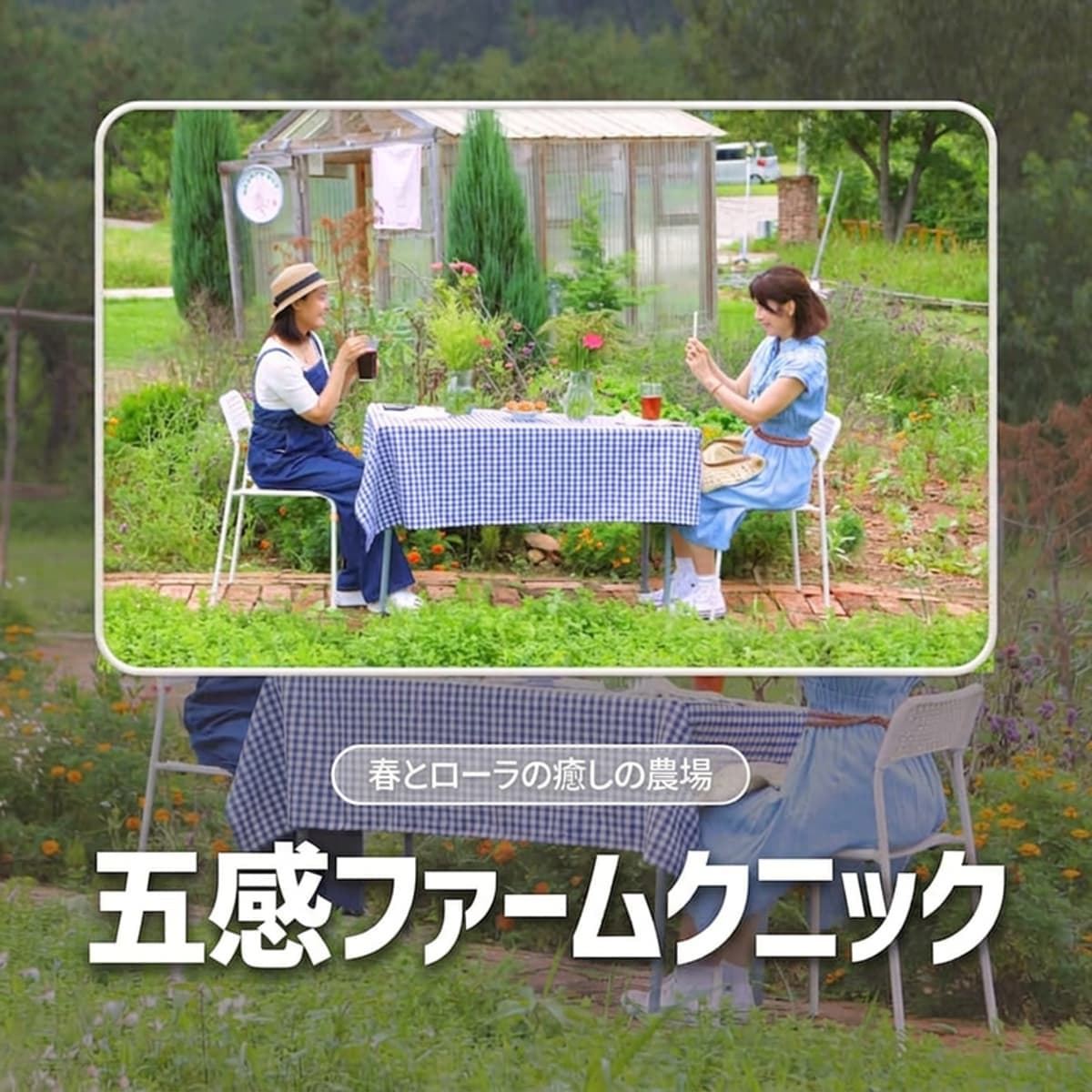[益山（イクサン）/日帰り] 春とローラ治癒農場 - 五感パームクニック（Five Senses Farmnic） 🧺🌿の写真1