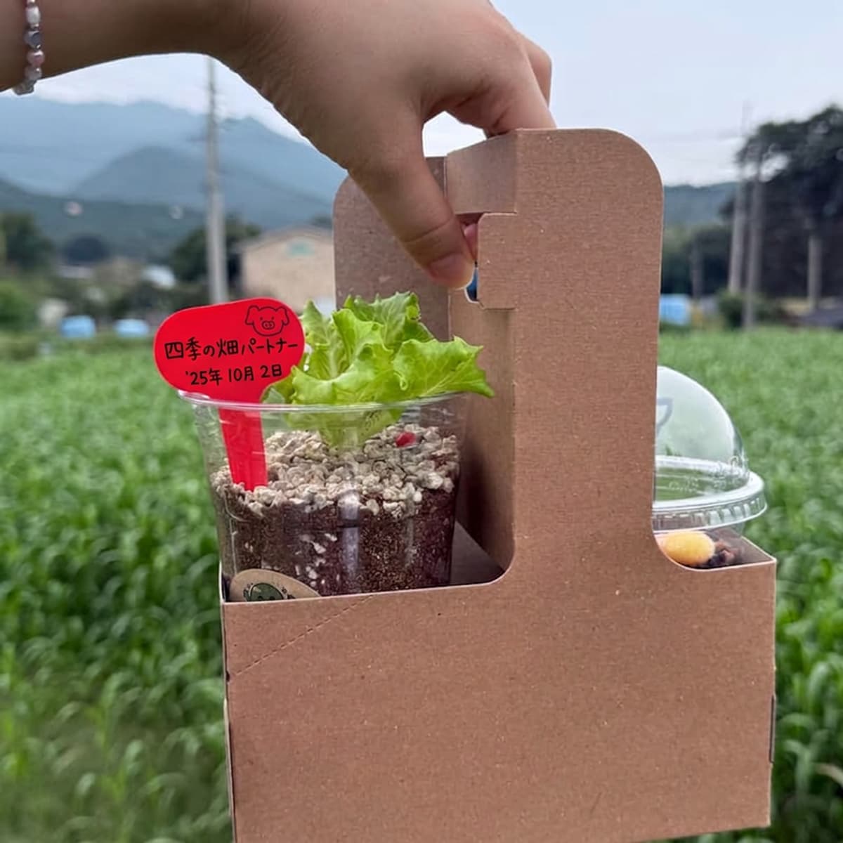 [日帰り/潭陽（タミャン）] 昆虫で作る持続可能な明日、未来のタンパク質体験🐛✨の写真4