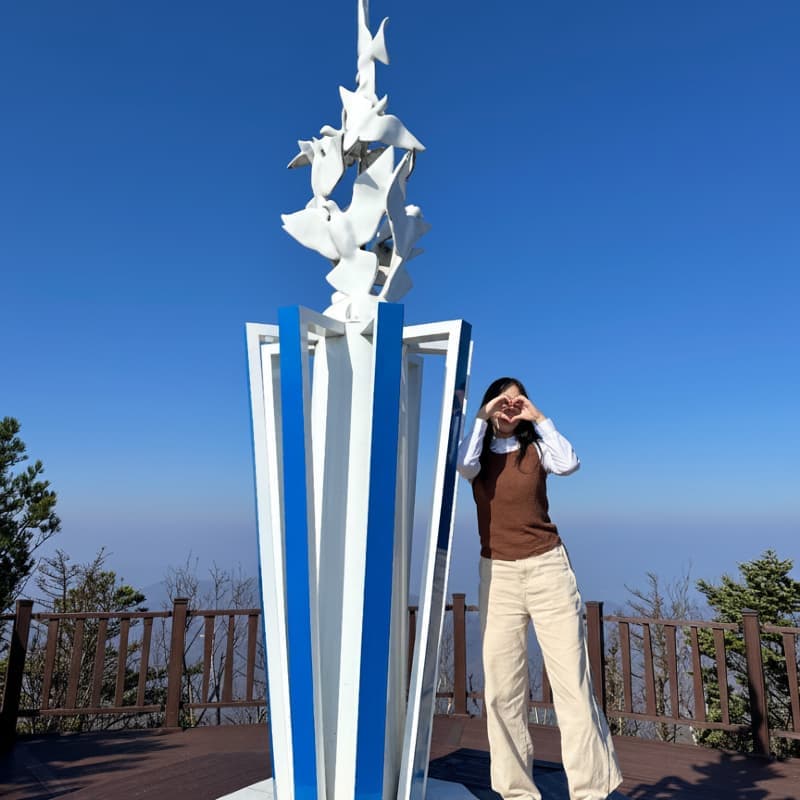 [평창/당일] 단풍 투어🍁 발왕산케이블카+천년주목숲길+오대산 월정사전나무숲+산채정식 사진 4