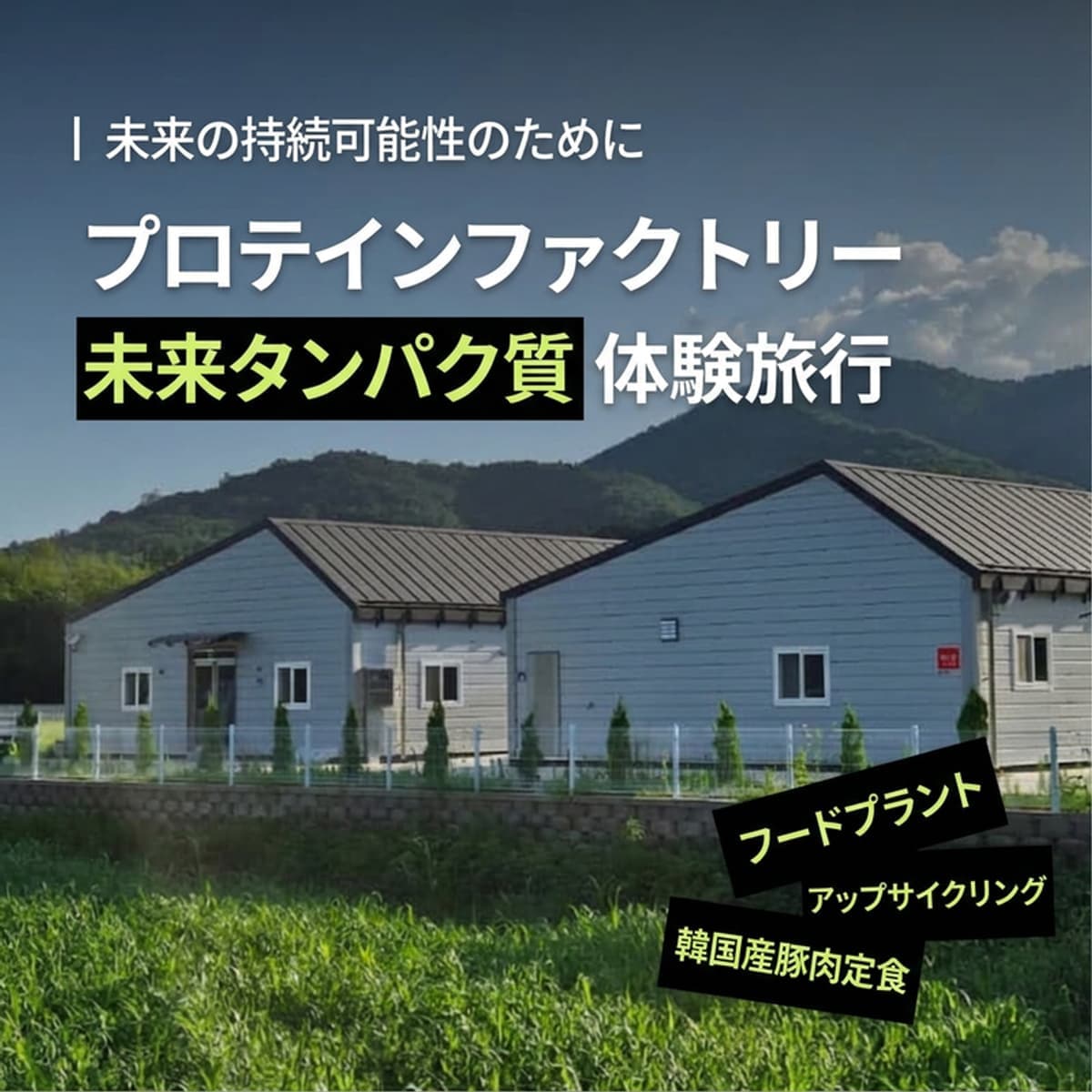 [日帰り/潭陽（タミャン）] 昆虫で作る持続可能な明日、未来のタンパク質体験🐛✨の写真1