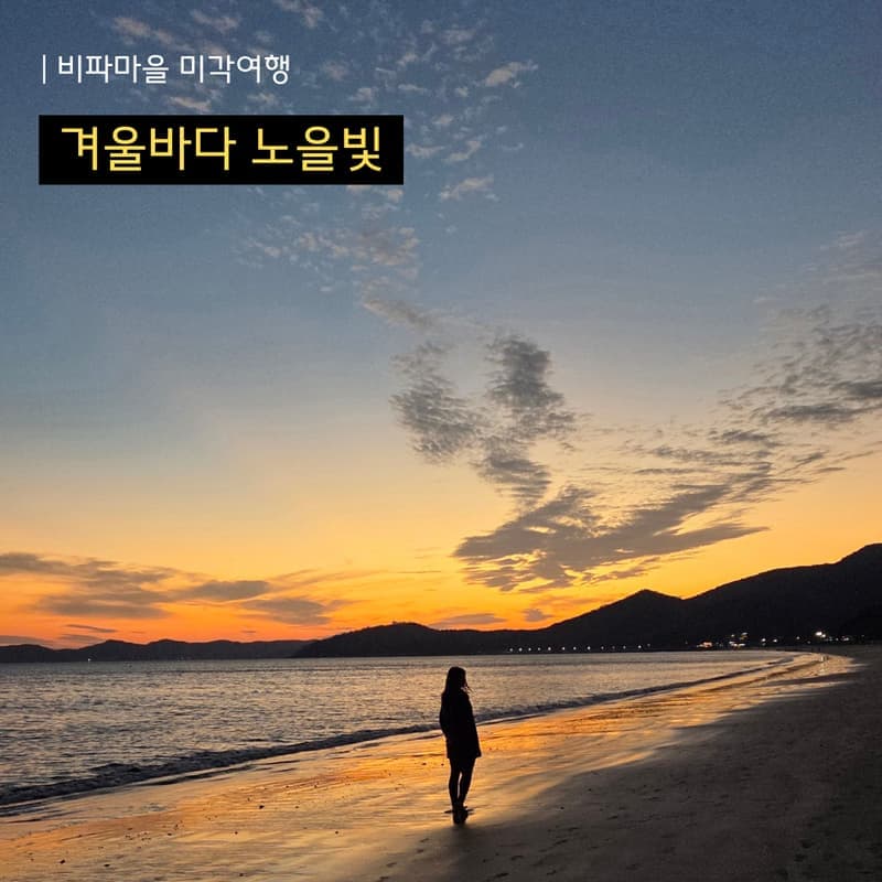[완도/1박] 비파마을 미각여행ㅣ비파와인과 디저트+베이킹&드로잉 클래스 🧁🎨 사진 2