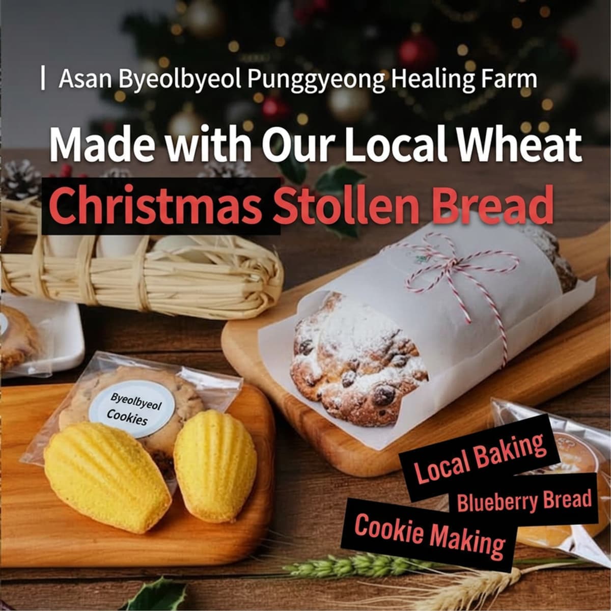 [Asan/Day Trip] Byeolbyeol Punggyeong Healing Farm | Christmas Baking with Organic Korean Wheat 🍞🎄 photo 1