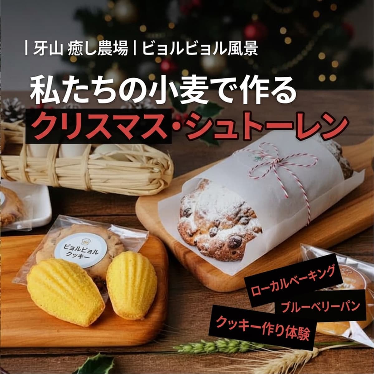 [牙山/当日] ビョルビョル風景 治癒農場 ㅣ 有機栽培の国産小麦で作るクリスマスベーキング 🍞🎄の写真1