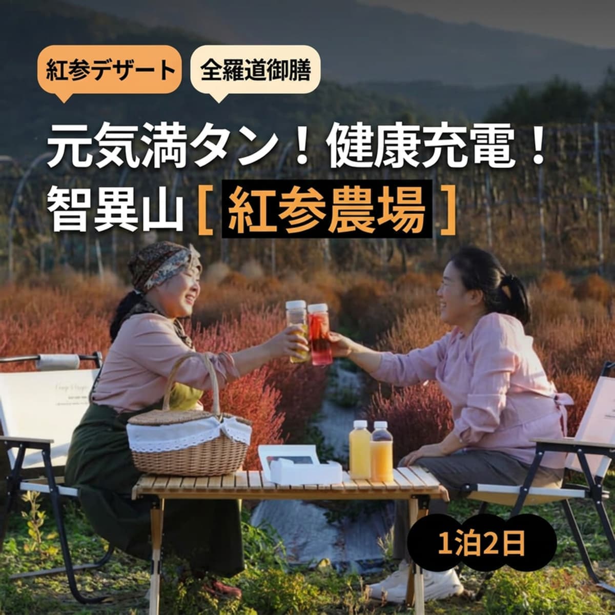 [南原 (ナムウォン)/1박] 智異山 (チリサン) 600高地 紅参農場 ジョンガネ・ザ・チユ (Jeonggane The Chiyu) ㅣ 紅参デザート+全羅道のごちそう 🫚🏔️の写真1